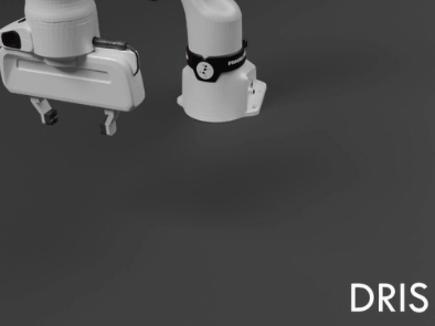 ManiDreams demonstration